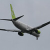  LQ JA810X B737-800(wl)