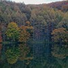 【御射鹿池・蓼科湖】蓼科・紅葉めぐり①～秋の水辺 絶景散策