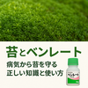 苔とベンレート：病気から苔を守る正しい知識と使い方