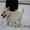 遊ぶぞー(動画）