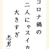 コロナ禍の二人にゃスイカ大きすぎ