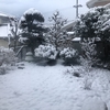 雪が降ったけど