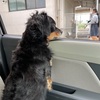残暑の中