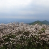 太平山の小屋開き（５月20日）