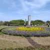 【菜の花とネモフィラ】