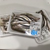 大型魚の餌 チカ 与えます。