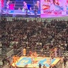 【観戦記】新日本プロレス WRESTLE KINGDOM 14 in 東京ドーム＆プロレスリング・ノア後楽園ホールDay1 NEW SUNRISE 　#njpw　#noah_ghc