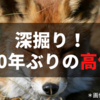 株価が30年ぶりの高値みたいなので深掘り