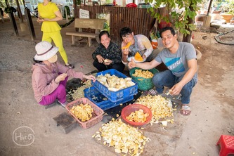 ものすごい距離を走った（バオロクBảo Lộc→ホーチミンHồ Chí Minh）