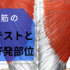 広背筋の伸張テストと圧痛好発部位