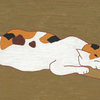 春の月