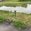田植えが終わりました！次は鹿や猪の獣害対策！JAで売ってたケモノアイという商品を購入！夜はアマゾンのような鳴き声で目が光ります（笑）