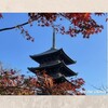 晩秋の京都旅　東寺