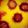 新型コロナウイルスが日本に与える影響