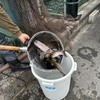 7月17日(金)秩父フライフィールドの河川情報