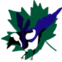 世界のポケGO事情とか