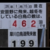 安曇野　白鳥飛来数はようやく462羽に　【ミコアイサ】