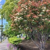 走るたび、今日だけの景色に出会う！