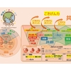 「感謝と貢献」第８３８日