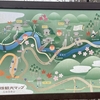 みちくさ探検隊solo in 京都三尾　静かな山寺で自分と向き合う、そして墨と戯れ