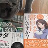 猫という大いなるチカラを知る、猫ブログ化してみるか？