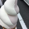 紫いもミックスソフト、米粉のメロンパン、チョコクロワッサン（全て半分ずつ）
