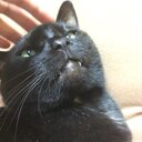Androidのことが好きになってきた