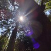 神興神社・若八幡神社