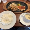 【高コスパ】栗の里 相模原インター店〜BBQチキン＆ポークしょうが焼き／農園サラダセット／ライスおかわり自由／醤油ソース／笹生農園／超オススメ〜