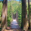 古座川の吊り橋群より🍃