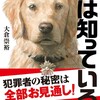 新刊「犬は知っている」1月発売予定です。