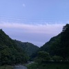 カエルの鳴き声と雨音と扇風機と