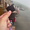一欠片のチョコレートからの出会い
