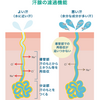 汗が臭く、蒸発せず湿疹になる理由