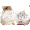 めちゃくちゃ懐く小動物ランキングTOP10｜初心者～上級者向け完全ガイド