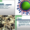中国では高病原性鳥インフルエンザH5N1の人への感染が確認され、同時に養殖場では鳥インフルエンザや豚コレラが深刻な状況にある