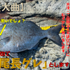 【フカセ釣り】時代は『遠投浅棚！』 和歌山県見老津地区【弁天丸渡船】 2021年度第3回楠根会例会大会 2021年1月某日