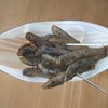 地元の楽しい話、悲しい話