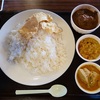 東金はスリランカだった、超本格派の山盛りカレー　＠東金　チバハラルフーズ