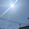 晴れ～☀　姉から　コスモス畑