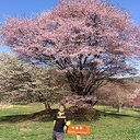 ちょっとした釣り日記