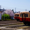 小湊鉄道で養老渓谷へ