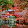 An Overview To Small Japanese Garden For Landscapers
