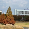 昭和記念公園と高幡不動の紅葉〜スペイン料理付き。