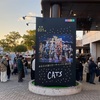 Cats初見のおれが完全に勘違いしていたこと