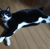 病院へ
