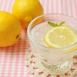 レモン水ダイエットの効果とやり方を徹底解説！