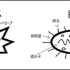 第百五回　新型コロナワクチンと大出血（３）