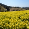 花夢の里：花めぐりシリーズ ⑦（広島県世羅郡世羅町）