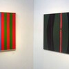 アートスペース羅針盤の竹村芳樹新作展
